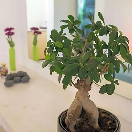 Hotel Iliada-odysseas 4*
